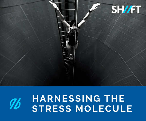 harnessing-the-stress-molecule